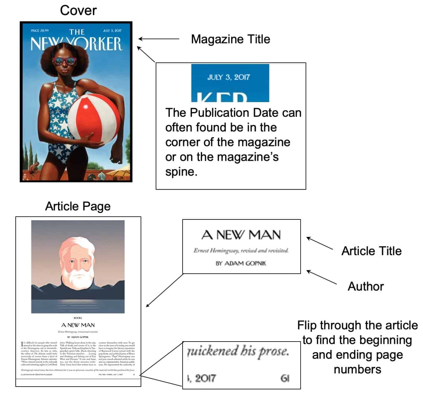 Citing A Website In Mla8 Citation Machine