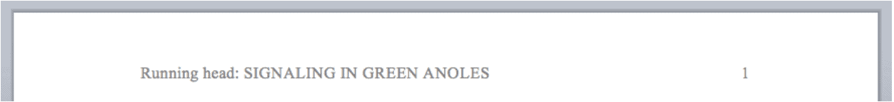 easy to use apa citation generator apa format guide apa style creator
